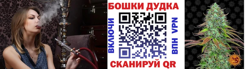 Продажа наркотиков Луга МАРИХУАНА  МЕФ  Кокаин  Alpha PVP  ГАШ 