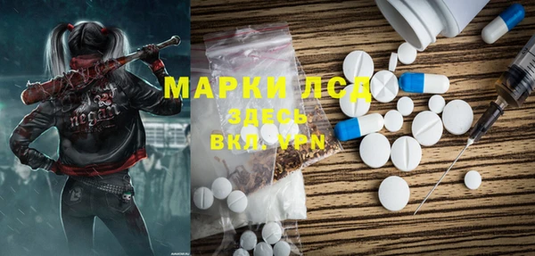 PSILOCYBIN Липки