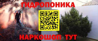 гашик Будённовск