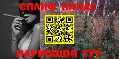 гашик Будённовск