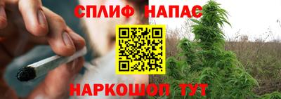 гашик Будённовск