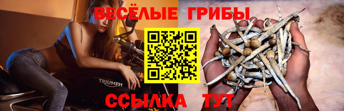 Псилоцибиновые грибы мицелий  Галлюциногенные грибы мицелий  Вход с VPN  магазин продажи наркотиков  Луга 