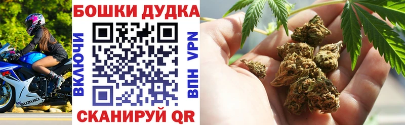 Шишки марихуана планчик Луга